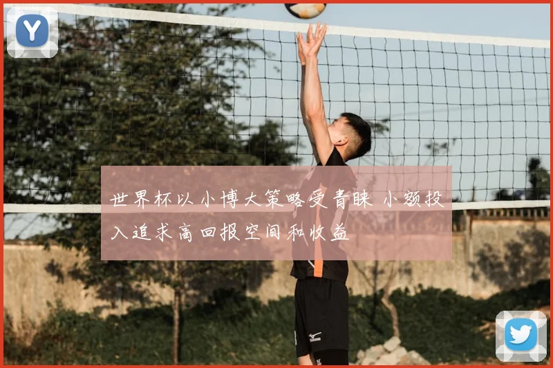 世界杯以小博大策略受青睐 小额投入追求高回报空间和收益