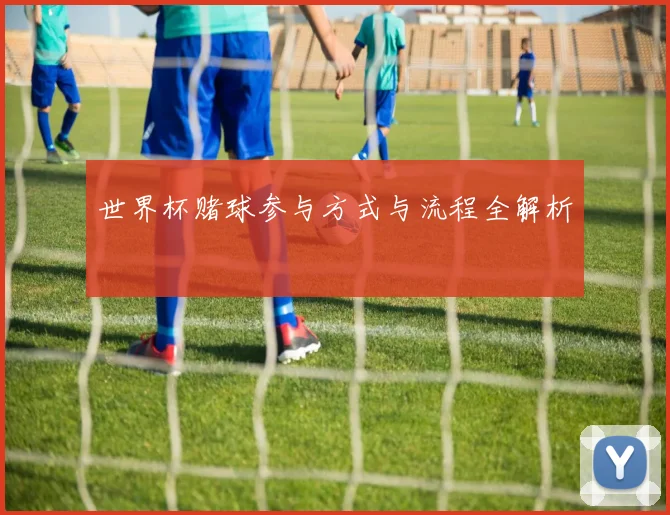 世界杯赌球参与方式与流程全解析