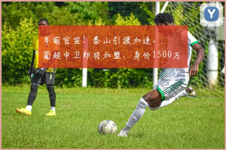 年前官宣！泰山引援加速， ​​​葡超中卫即将加盟，身价1500万