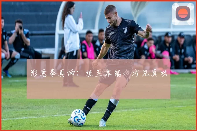 形意拳真谛：练至本能，方见真功