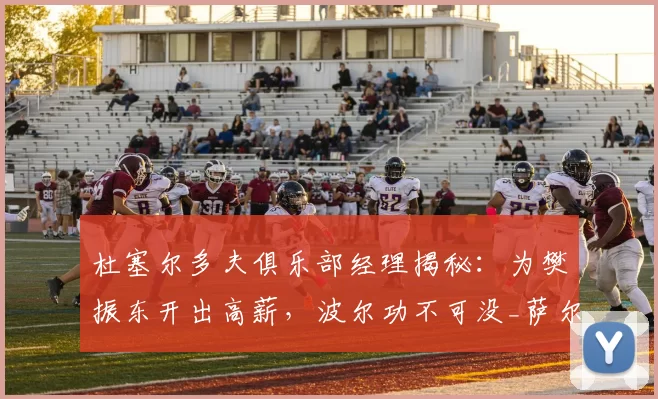 杜塞尔多夫俱乐部经理揭秘：为樊振东开出高薪，波尔功不可没_萨尔布吕肯_竞技_德国