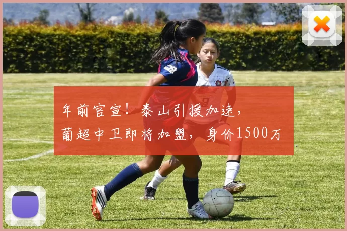 年前官宣！泰山引援加速， ​​​葡超中卫即将加盟，身价1500万