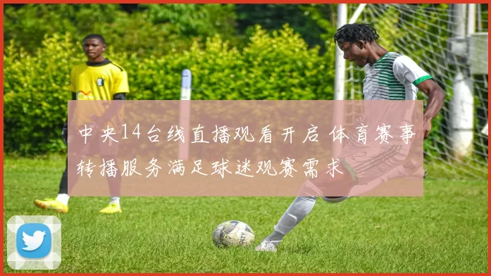 中央14台线直播观看开启 体育赛事转播服务满足球迷观赛需求