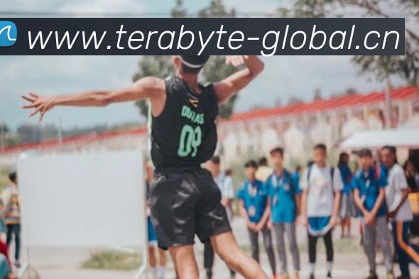 bsport官网平台生态图