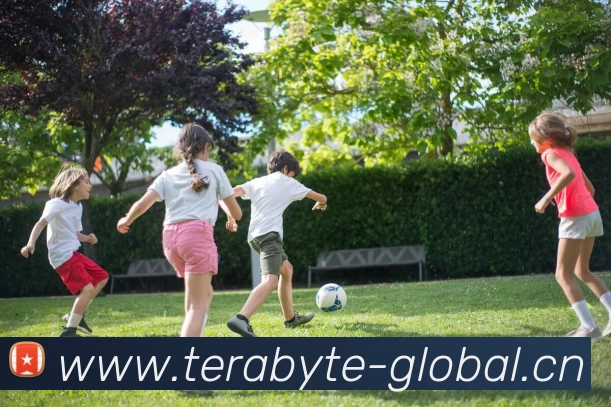 数据防护可视化